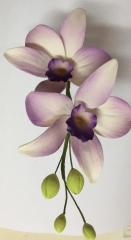 Tr�pusi Orchidea Csokor F�jt 12db