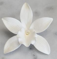 Van�lia Orchidea Feh�r 9db