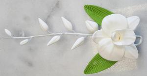 Orchidea sz�l 5. Feh�r 15db