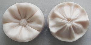 Szilikon erez� Vir�g