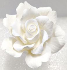 GCP Ny�l� R�zsa Feh�r