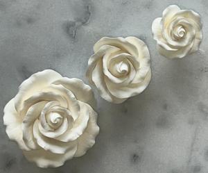 GCP Kerti R�zsa 3 m�ret M/L/XL Feh�r